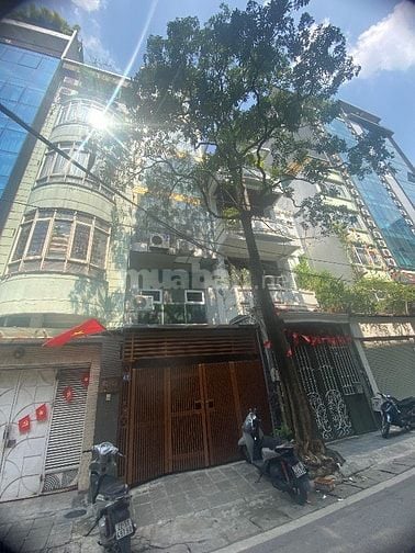 Bán Nhà Lô góc mặt Ngõ Kinh doanh Ba Đình