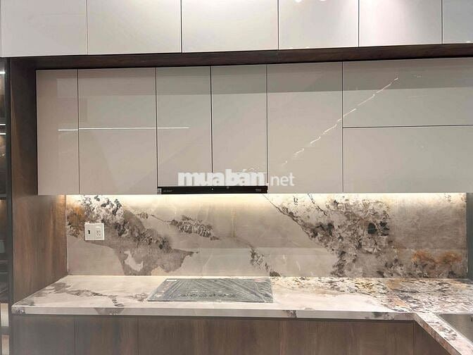 Bán nhà Huỳnh Ngọc Đủ siêu xinh thái Vip Hoà xuân