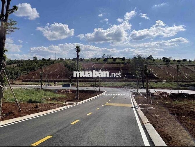 Cần Bán Gấp Lô Đất Ở View Hồ Thành Phô Đà Lạt đường ô tô