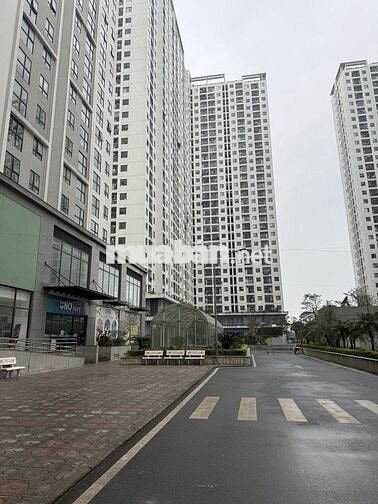 Bán Shophouse tầng 1 + 2  Ecohome3 Tân Xuân 55tr/m2, cho thuê 40tr/th