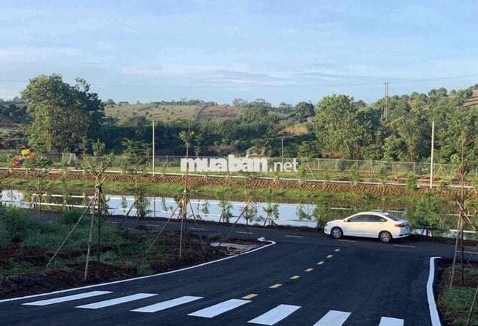 Cần Bán Gấp Lô Đất Ở View Hồ Thành Phô Đà Lạt đường ô tô