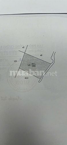 Bán lô đất 2000m2 QH full thổ cư xây Villa biệt thự Trung tâm Cần Giờ