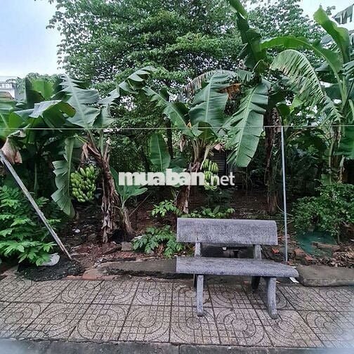 Đất sổ riêng thổ cư khu dân cư Chùa Phổ Quang