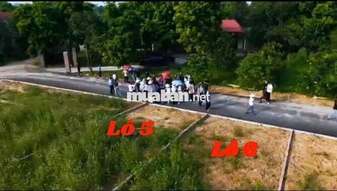 Còn 2 Lô cuối chính chủ đất Thôn Cõi , Tam Dương - Phú Thọ