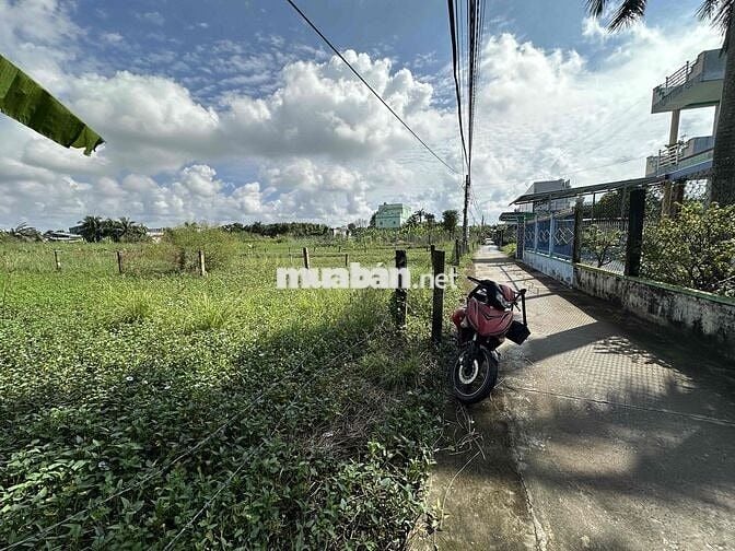 ⭐️ 332m² thổ cư, cách nhựa DT832 100m. Ấp 6, Nhựt Chánh, Bến Lức