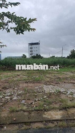 Hướng Đông Bắc , Mát Mẻ Cả Ngày