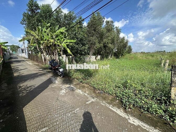 ⭐️ 332m² thổ cư, cách nhựa DT832 100m. Ấp 6, Nhựt Chánh, Bến Lức