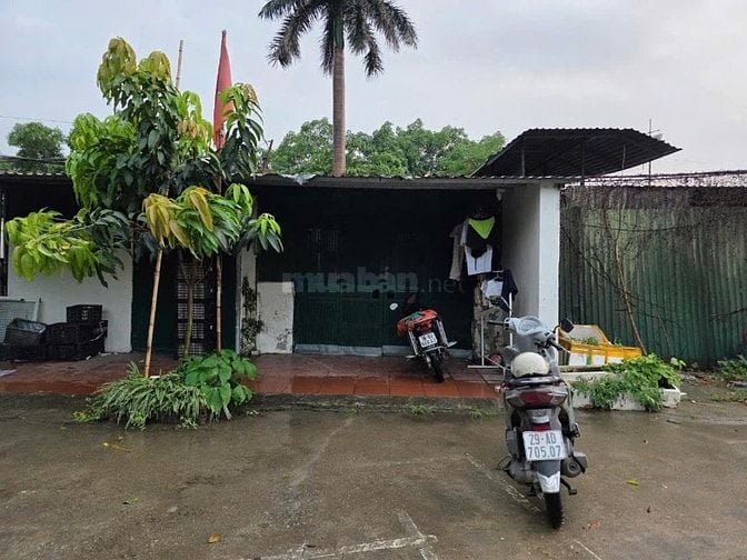 Chính chủ bán nhà trục chính đường Lạc Hồng trước cổng trường học Chính chủ bán nhà trục chính đường Lạc Hồng trước cổng trường học