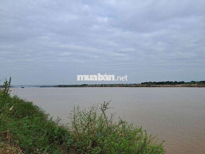 Cần bán đất bãi sông Hồng, ngõ 76 An Dương đi vào, 550 tr 1 sào, KMC