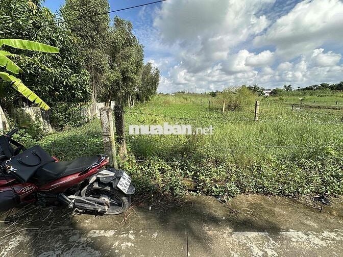 ⭐️ 332m² thổ cư, cách nhựa DT832 100m. Ấp 6, Nhựt Chánh, Bến Lức