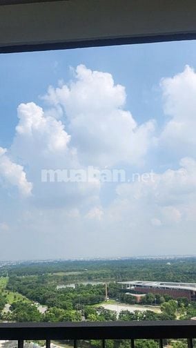 Cho thuê căn hộ Studio tại Sky Forest Ecopark