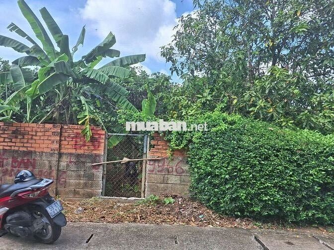 600m2 đất mặt tiền đường Dư Khánh Bình Dương