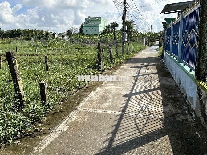 ⭐️ 332m² thổ cư, cách nhựa DT832 100m. Ấp 6, Nhựt Chánh, Bến Lức