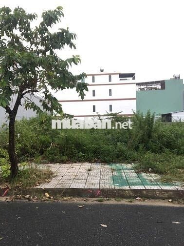 Đường Quy Hoạch , 7m5 Lề 4m , Hướng Đông Nam