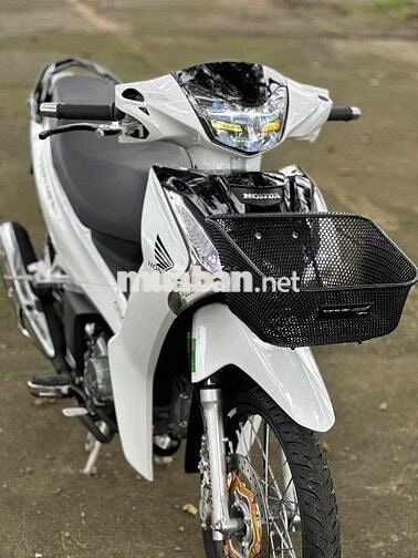 Fu Led 2022 kiểng có góp