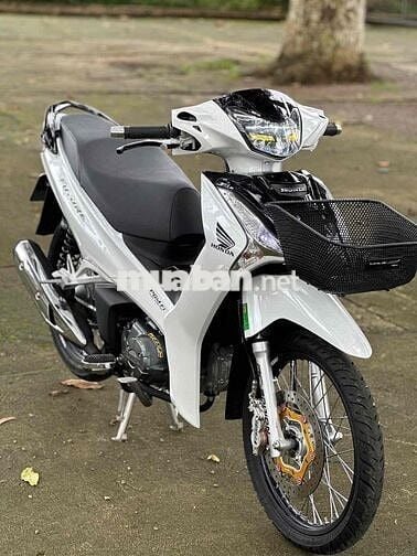 Fu Led 2022 kiểng có góp