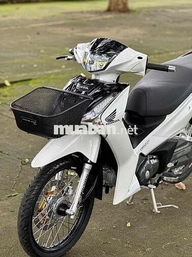 Fu Led 2022 kiểng có góp