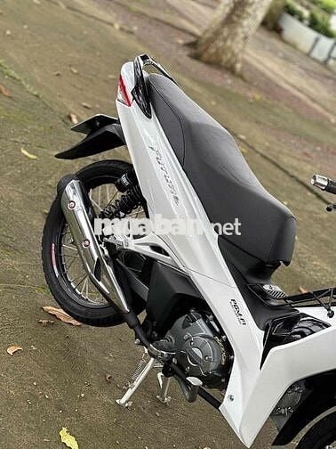 Fu Led 2022 kiểng có góp