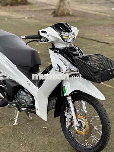 Fu Led 2022 kiểng có góp