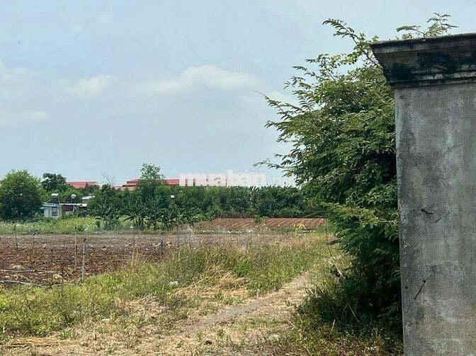 7500m2 đất Xuân Đông, Cẩm Mỹ , full hồng chỉ 700tr/sào