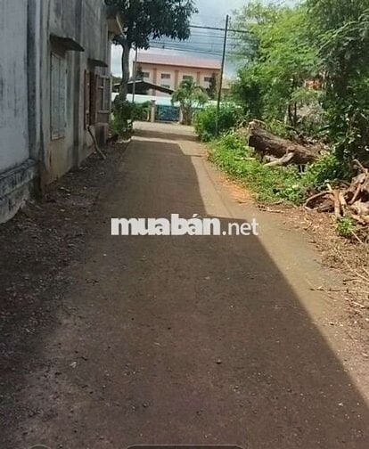 7500m2 đất Xuân Đông, Cẩm Mỹ , full hồng chỉ 700tr/sào