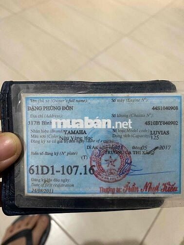YAMAHA LUVIAS 125 XĂNG CƠ