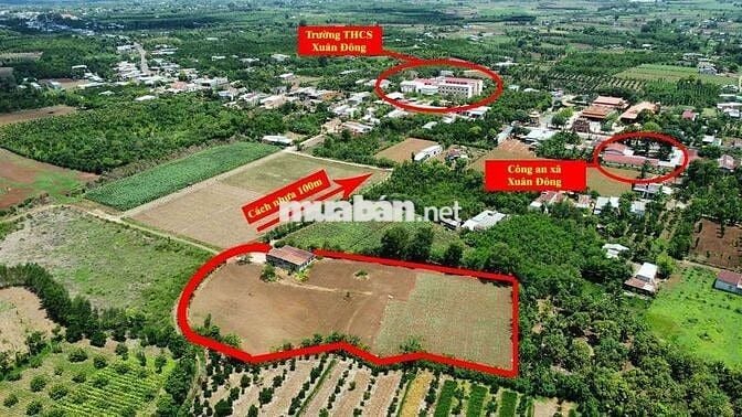 7500m2 đất Xuân Đông, Cẩm Mỹ , full hồng chỉ 700tr/sào