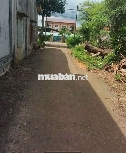 7500m2 đất Xuân Đông, Cẩm Mỹ , full hồng chỉ 700tr/sào