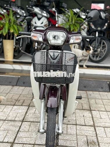 🌈SUPPERDREAM 65 NGAY CHỦ XE ĐẸP MÁY ÊM NGON💥CÓGÓP💥