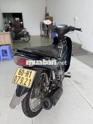 Sirius đời cao chủ nữ đi còn rất đẹp rin nguyên