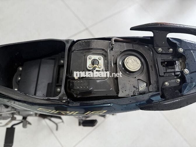 Sirius đời cao chủ nữ đi còn rất đẹp rin nguyên