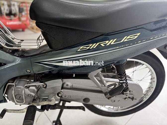 Sirius đời cao chủ nữ đi còn rất đẹp rin nguyên