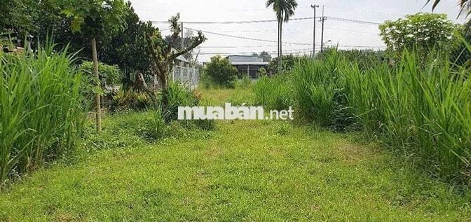 Lô đất biệt thự ngay mặt tiền 659m2 930 triệu thương lượng