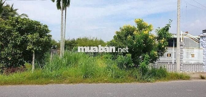 Lô đất biệt thự ngay mặt tiền 659m2 930 triệu thương lượng