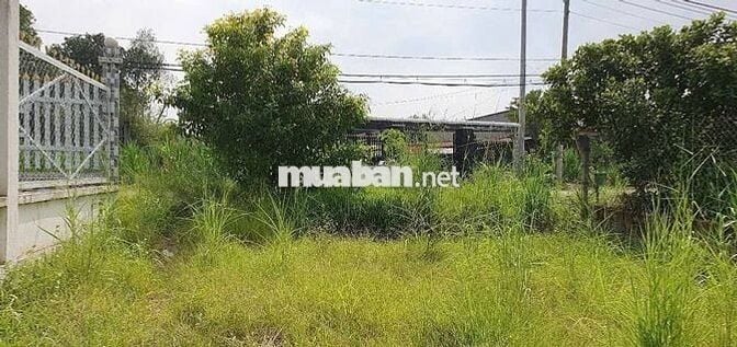 Lô đất biệt thự ngay mặt tiền 659m2 930 triệu thương lượng