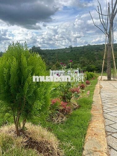 KẸT TIỀN CẦN BÁN GẤP LÔ ĐẤT NỀN HÒA NINH LÂM ĐỒNG