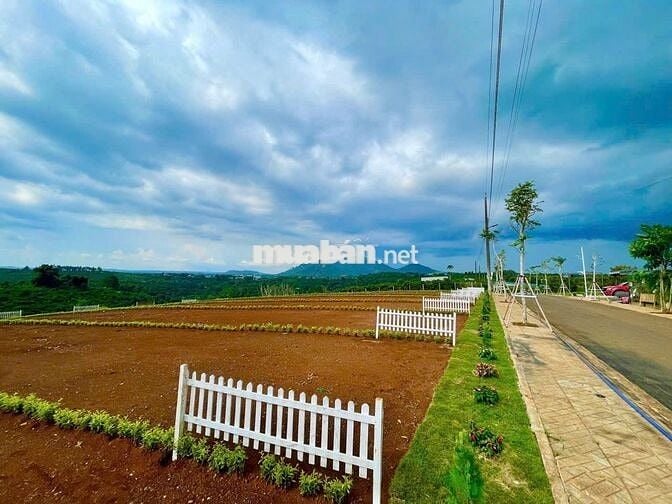 KẸT TIỀN CẦN BÁN GẤP LÔ ĐẤT NỀN HÒA NINH LÂM ĐỒNG