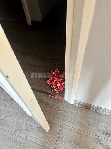 Bán căn hộ chung cư Riverside Garden, Thanh Xuân diện tích 126.1m2 3PN Bán căn hộ chung cư Riverside Garden, Thanh Xuân diện tích 126.1m2 3PN