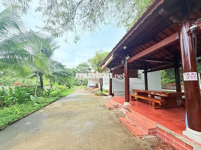 Cho Thuê Homestay Khu Long Cung Diện Tích Khủng 7000m2 : 50tr TL