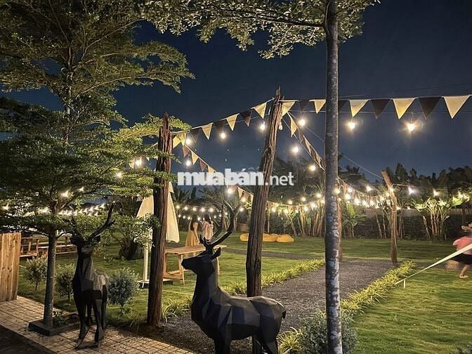 Cần Bán 5 Lô Đất Liền Kề Gần KDL Bửu Long