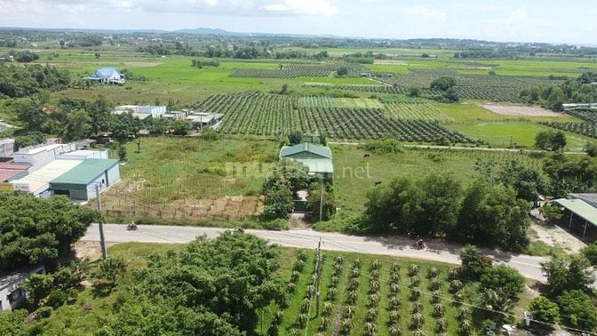 12x60(720m2) Nguyễn Minh Châu Tân Tiến Gần Biển Giá Cực Rẻ 