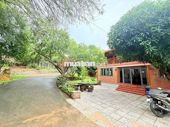 Cho Thuê Homestay Khu Long Cung Diện Tích Khủng 7000m2 : 50tr TL