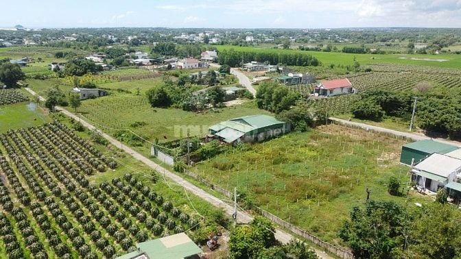 12x60(720m2) Nguyễn Minh Châu Tân Tiến Gần Biển Giá Cực Rẻ 