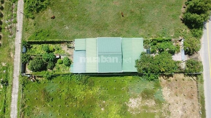 12x60(720m2) Nguyễn Minh Châu Tân Tiến Gần Biển Giá Cực Rẻ 