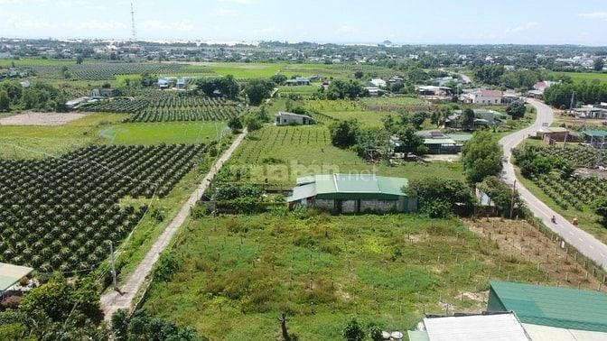 12x60(720m2) Nguyễn Minh Châu Tân Tiến Gần Biển Giá Cực Rẻ 