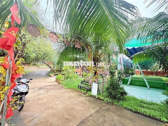 Cho Thuê Homestay Khu Long Cung Diện Tích Khủng 7000m2 : 50tr TL