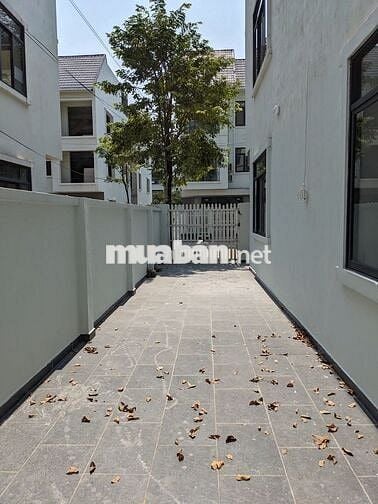 Chính chủ cho thuê nhà khu B mới, KĐT Geleximco Lê Trọng Tấn