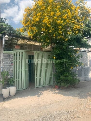 Bán nhà cấp 4 hẻm xe tải.tiếp khách thiện trí mua ở.