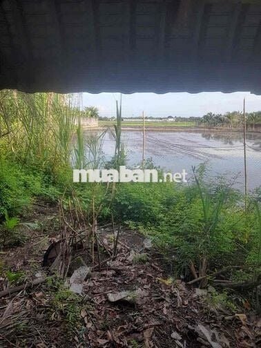 Bán Đất Mặt Tiền Đường Võ Văn Điều