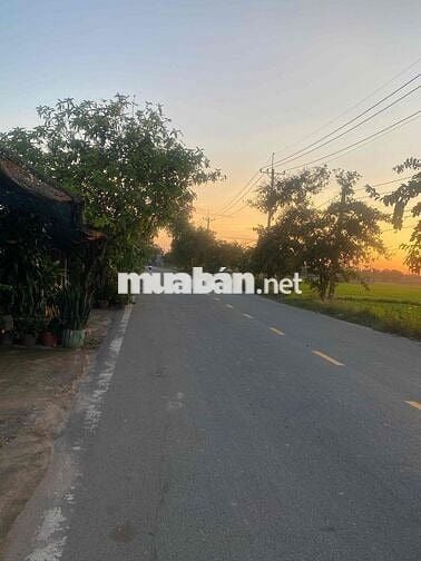 Bán Đất Mặt Tiền Đường Võ Văn Điều